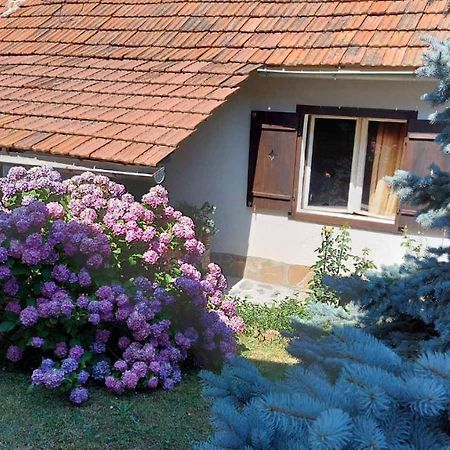 Apartman Nebojsa Рудник Екстериор снимка