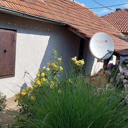 Apartman Nebojsa Рудник Екстериор снимка