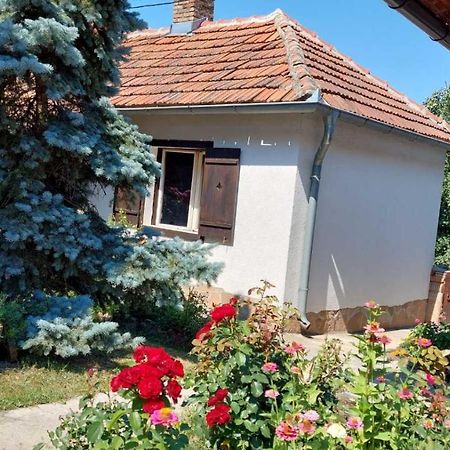 Apartman Nebojsa Рудник Екстериор снимка
