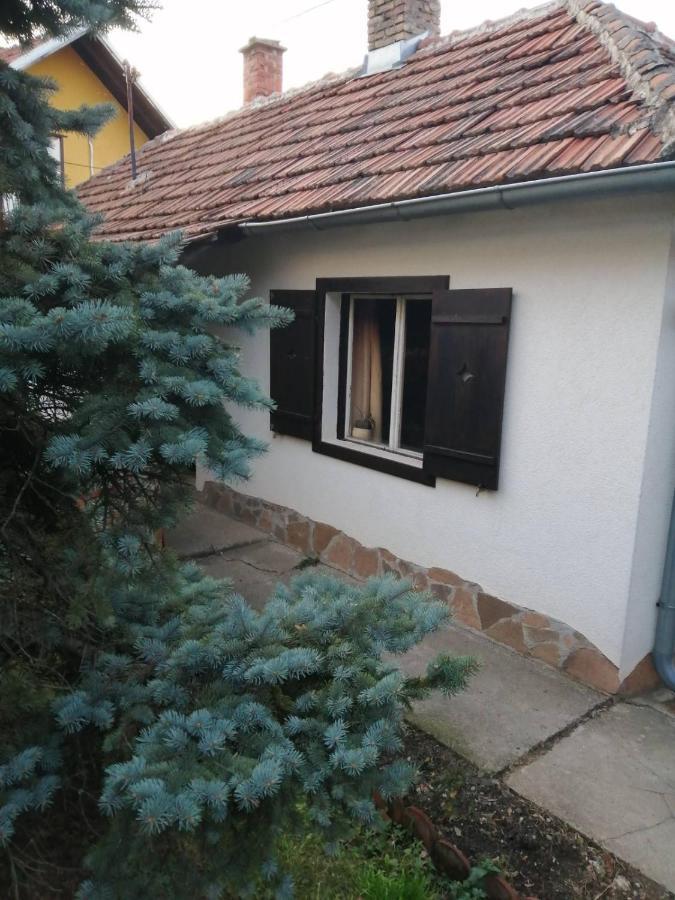 Apartman Nebojsa Рудник Екстериор снимка