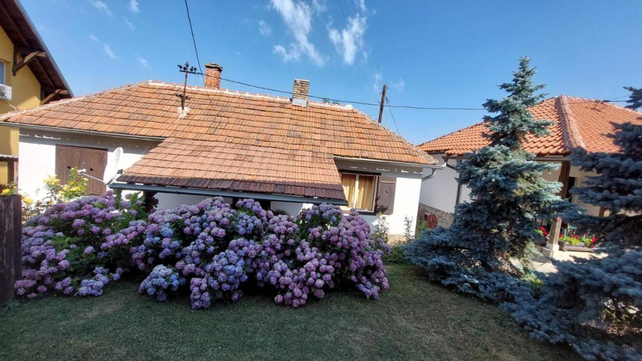 Apartman Nebojsa Рудник Екстериор снимка