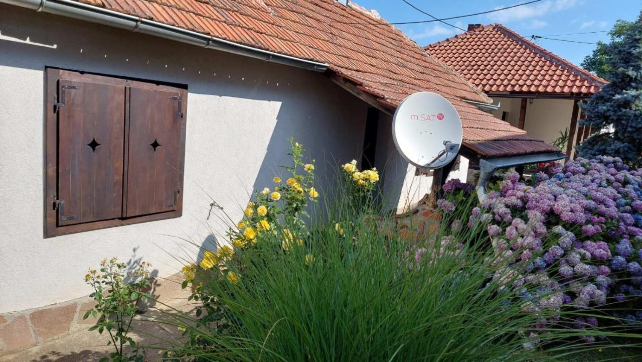 Apartman Nebojsa Рудник Екстериор снимка