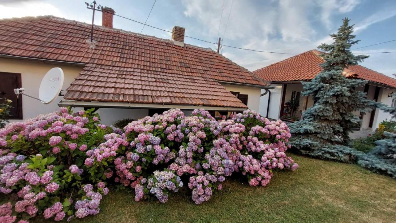 Apartman Nebojsa Рудник Екстериор снимка