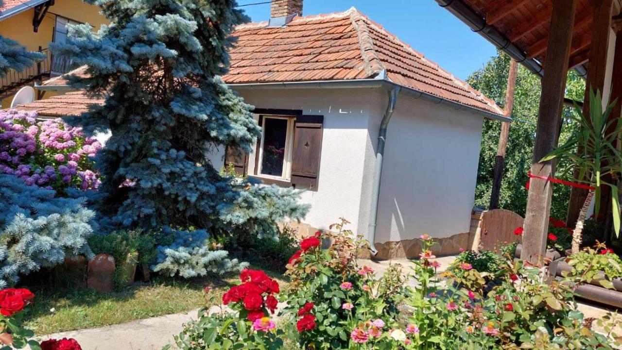 Apartman Nebojsa Рудник Екстериор снимка