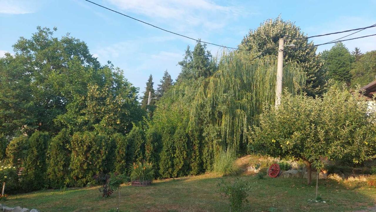 Apartman Nebojsa Рудник Екстериор снимка